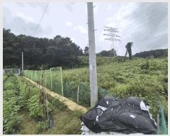  2025Ÿ��3829 ����Ư����ġ�� ������ ������ 282       ����(��1)���