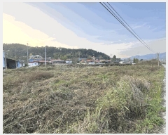  2025Ÿ��3888 ����Ư����ġ��  �ݳ��� ������ 319-3      ����(��)���