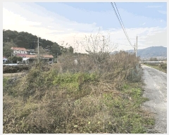  2025Ÿ��3888 ����Ư����ġ��  �ݳ��� ������ 319-3      ����(��)���