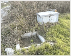  2025Ÿ��3888 ����Ư����ġ��  �ݳ��� ������ 319-3      ����(��)���