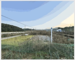  2025Ÿ��3888 ����Ư����ġ��  �ݳ��� ������ 319-3      ����(��)���