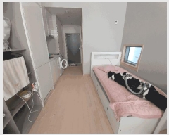  2025Ÿ��501219 ����Ư����ġ�� �Ѵ������ 587, 3��301ȣ (���㵿,��縮��)      ��������Ȱ���ð��