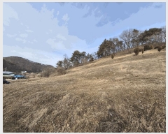  2025Ÿ��501777 �泲 �ݻ걺 ����� ������ 53      ����(��1)���