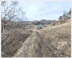  2025Ÿ��501777 �泲 �ݻ걺 ����� ������ 53      ����(��1)���