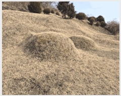  2025Ÿ��501777 �泲 �ݻ걺 ����� ������ 53      ����(��1)���