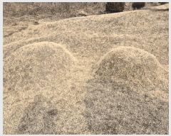  2025Ÿ��501777 �泲 �ݻ걺 ����� ������ 53      ����(��1)���