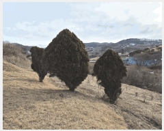  2025Ÿ��501777 �泲 �ݻ걺 ����� ������ 53      ����(��1)���