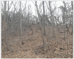  2025Ÿ501792 Ưġ  Ŵ븮 298-2       (Ӿ)