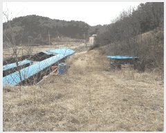  2025Ÿ501792 Ưġ  Ŵ븮 298-2       (Ӿ)