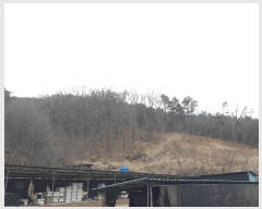  2025Ÿ501792 Ưġ  Ŵ븮 298-2       (Ӿ)