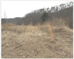  2025Ÿ501792 Ưġ  Ŵ븮 298-2       (Ӿ)