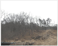  2025Ÿ501792 Ưġ  Ŵ븮 298-2       (Ӿ)