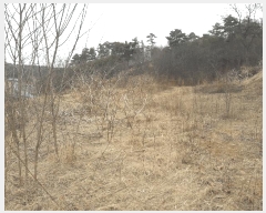  2025Ÿ501792 Ưġ  Ŵ븮 298-2       (Ӿ)