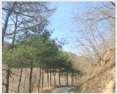  2025Ÿ501887 泲 ݻ걺 ߺθ 븮 711      ()