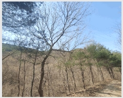  2025Ÿ501887 泲 ݻ걺 ߺθ 븮 711      ()