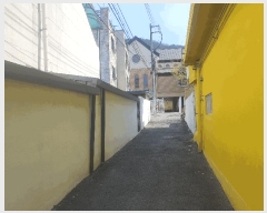  2025Ÿ501887 泲 ݻ걺 ߺθ 븮 711      ()