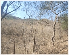  2025Ÿ501887 泲 ݻ걺 ߺθ 븮 711      ()