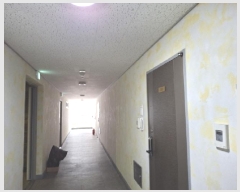  2025Ÿ��501963  ��������Ȱ���ð��