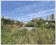  2025Ÿ501995 泲 ݻ걺 ݻ ߵ 197      (1)