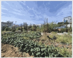  2025Ÿ501995 泲 ݻ걺 ݻ ߵ 197      (1)