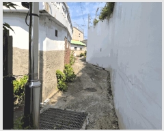  2025Ÿ501995 泲 ݻ걺 ݻ ߵ 197      (1)