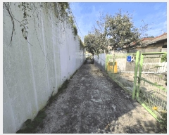  2025Ÿ501995 泲 ݻ걺 ݻ ߵ 197      (1)