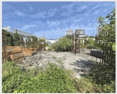  2025Ÿ501995 泲 ݻ걺 ݻ ߵ 197      (1)