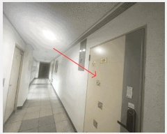  2025Ÿ502485    549-1 ̾Ÿֻ 4429ȣ     ǽڰ