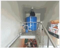  2025Ÿ��502612 ���� ���� ���絿 146-54       �ٰ������ð��