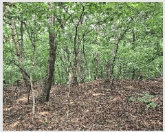  2025Ÿ502639 Ưġ  ո 98-5       (Ӿ)