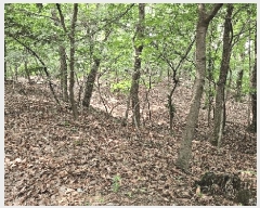  2025Ÿ502639 Ưġ  ո 98-5       (Ӿ)