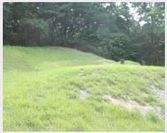  2025Ÿ502639 Ưġ  ո 98-5       (Ӿ)