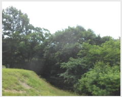  2025Ÿ502639 Ưġ  ո 98-5       (Ӿ)