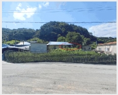  2025Ÿ��502804 ����Ư����ġ�� �ΰ��� �� 323-4       ����(��1)���