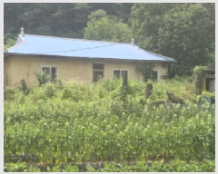  2025Ÿ��502804 ����Ư����ġ�� �ΰ��� �� 323-4       ����(��1)���