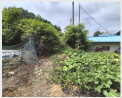  2025Ÿ��502804 ����Ư����ġ�� �ΰ��� �� 323-4       ����(��1)���