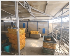  2025Ÿ��502881  �ٸ����ð��