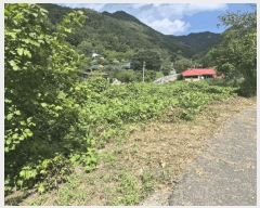  2025Ÿ��503275  �������