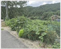  2025Ÿ��503275  �������