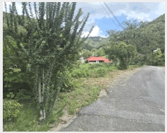  2025Ÿ��503275  �������