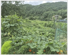  2025Ÿ��503275  �������