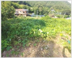  2025Ÿ��503275  �������