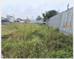  2025Ÿ��503394  �������