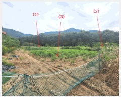  2025Ÿ��503459 ����Ư����ġ��  �ݳ��� ������ 9      ����(��)���