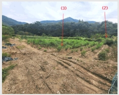  2025Ÿ��503459 ����Ư����ġ��  �ݳ��� ������ 9      ����(��)���