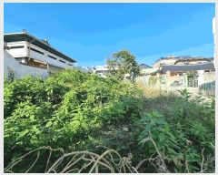  2025Ÿ��503548 �泲 �ݻ걺 �ݻ��� �� 14-16      ����(����)���