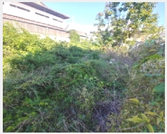  2025Ÿ��503548 �泲 �ݻ걺 �ݻ��� �� 14-16      ����(����)���