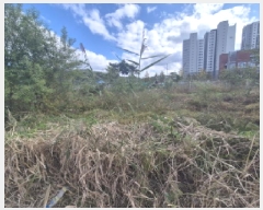  2025Ÿ��503579  �������