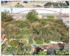  2025Ÿ��503579  �������