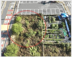  2025Ÿ��503579  �������